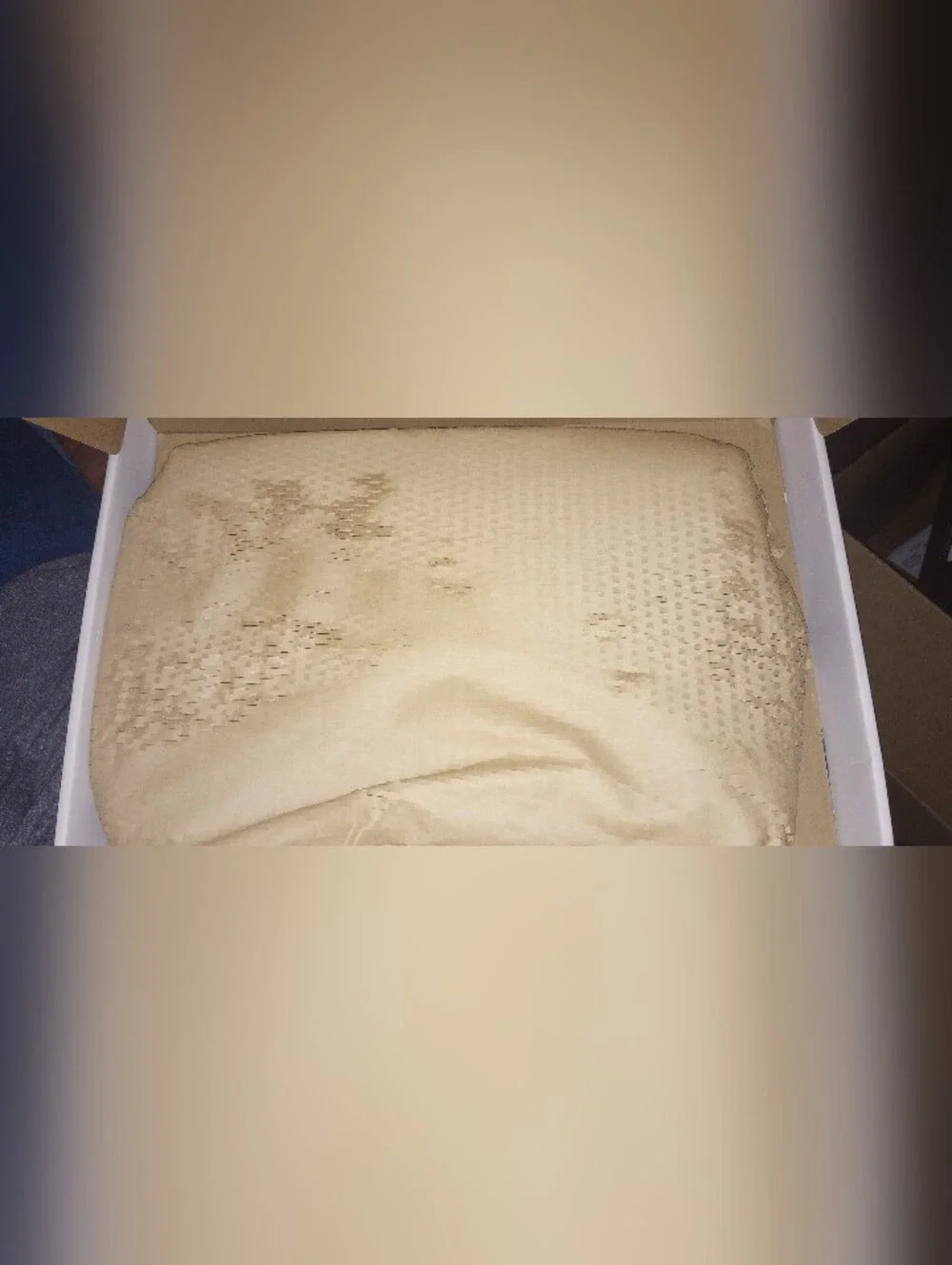 NWT Rifle Paper Co. Gracie Porcelain Large Platter